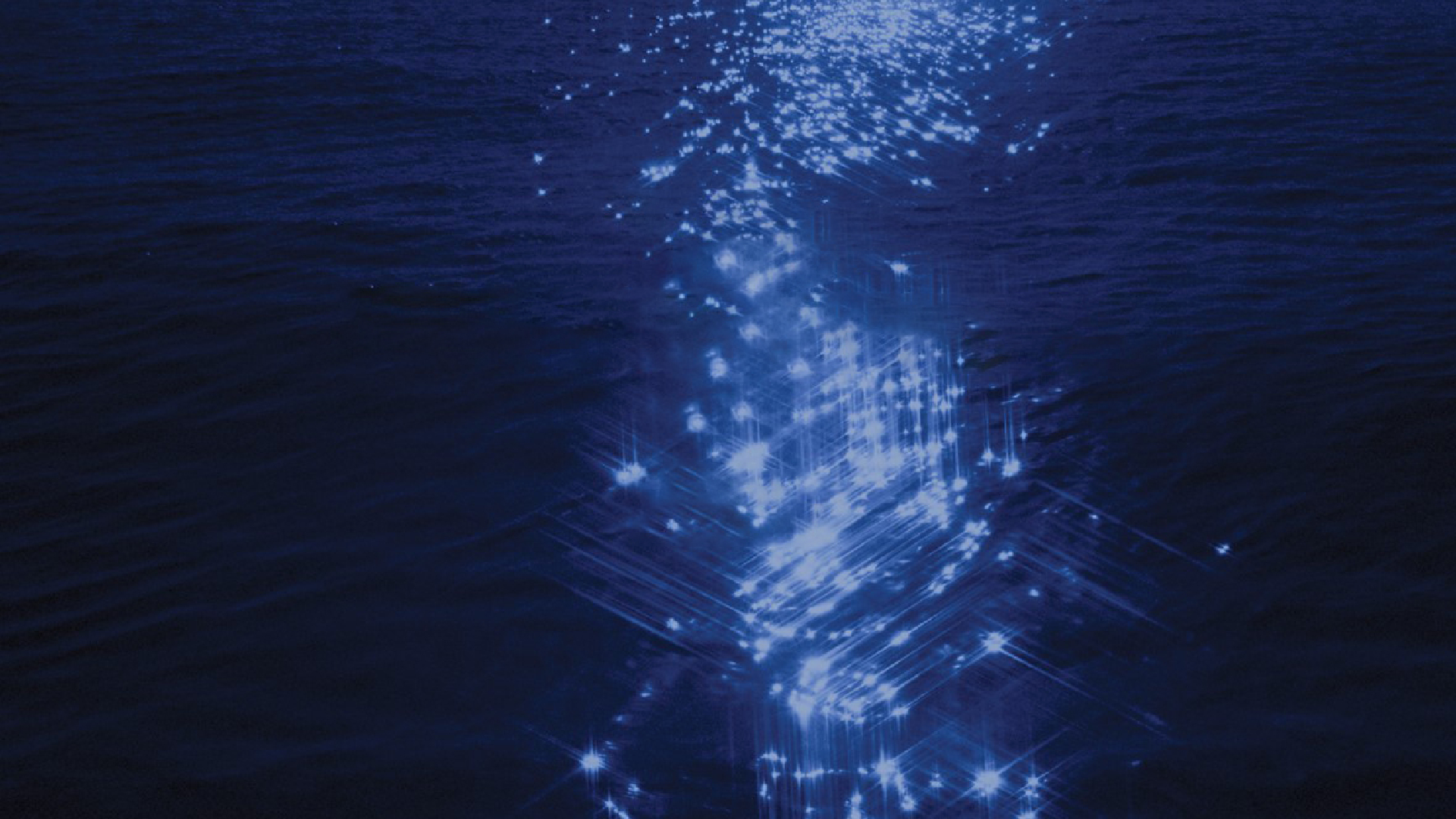 Sustainability Report