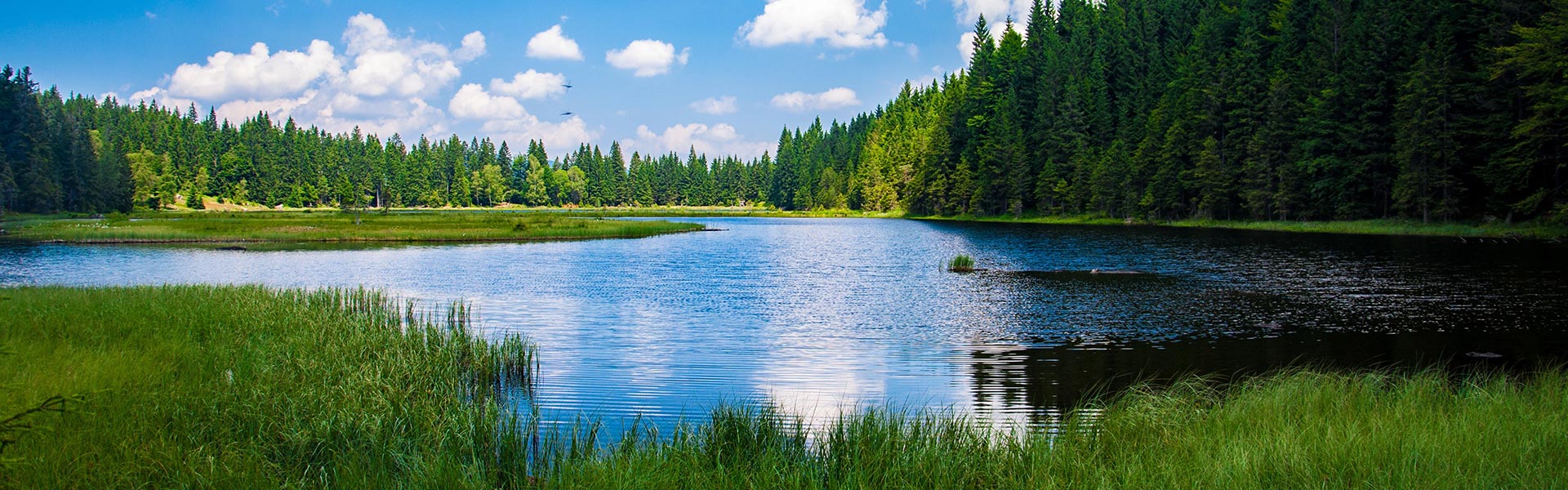 Environmental Policy